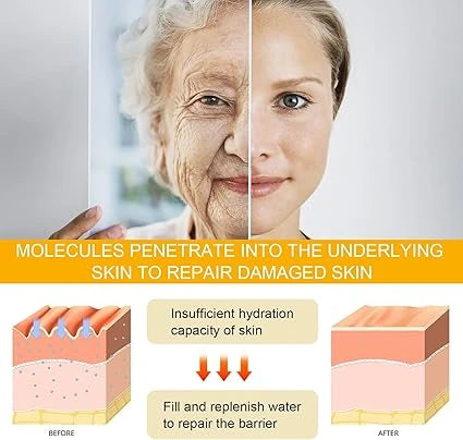 Eelhoe Ginseng & Niacinamide Anti-Wrinkle Essence – Original Formula